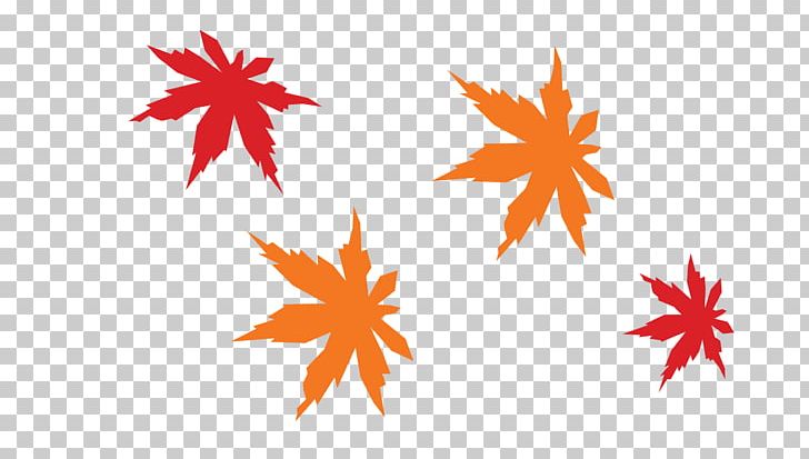 Maple Leaf Gratis PNG, Clipart, Autumn, Autumn Leaf, Copyright, Coupon, Deciduous Free PNG Download