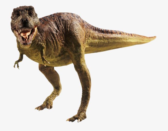Tyrannosaurus Rex Dinosaur PNG, Clipart, Animal, Dinosaur, Dinosaur Clipart, Rex, Rex Clipart Free PNG Download
