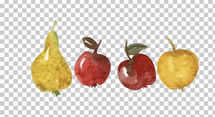 Apple Asian Pear Fruit PNG, Clipart, Asian Pear, Color, Color Splash, Encapsulated Postscript, Food Free PNG Download