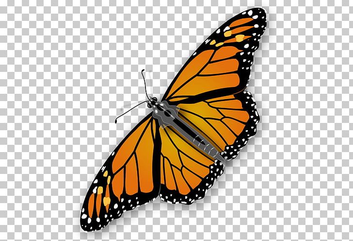 Butterfly PNG, Clipart, Arthropod, Brush Footed Butterfly, Butterfly, Computer Icons, Download Free PNG Download