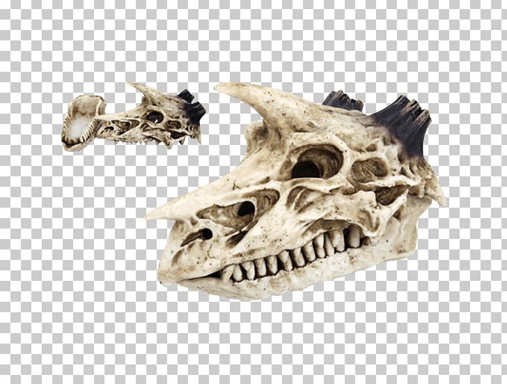 Censer Skull Skeleton Dragon Incense PNG, Clipart, Bone, Censer, Collectable, Dinosaur, Dragon Free PNG Download