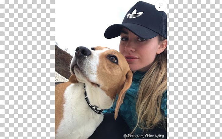 Chloe Ayling Model Dog Breed Kidnapping Surrey PNG, Clipart, Allegation, Celebrities, Charlie Cox, Child Abduction, Companion Dog Free PNG Download