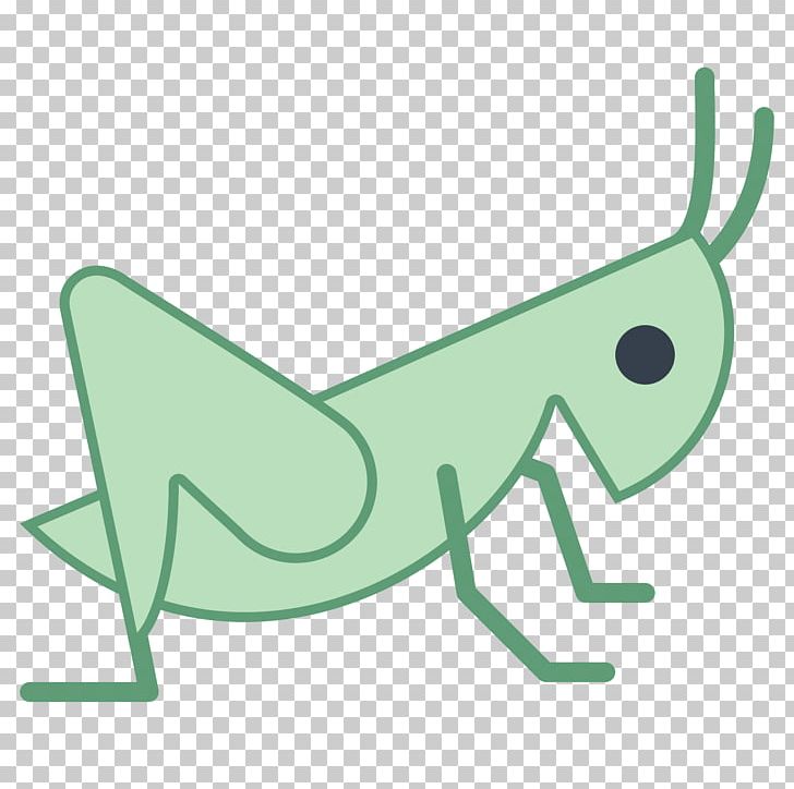 Insect Computer Icons Cricket PNG, Clipart, Angle, Animal, Animals, Cartoon, Computer Icons Free PNG Download