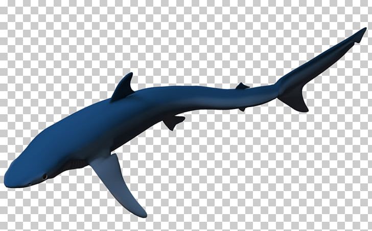 Requiem Sharks Blue Shark Common Bottlenose Dolphin Rendering PNG, Clipart, 3d Rendering, Animal Figure, Blue Shark, Bottlenose Dolphin, Cartilaginous Fish Free PNG Download