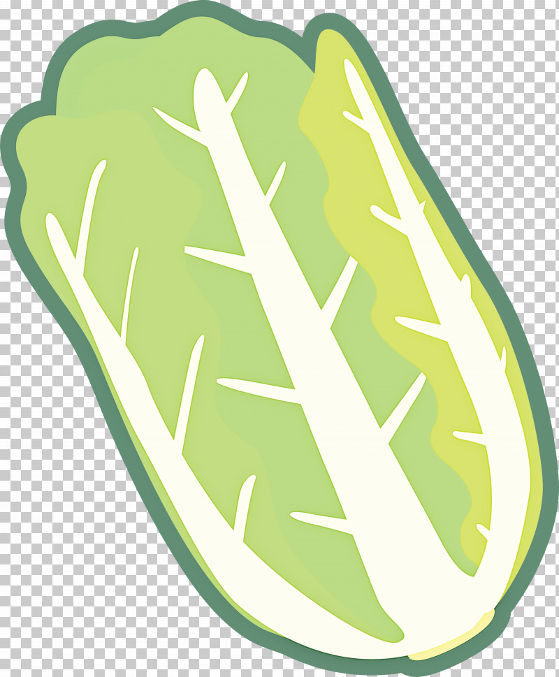 Nappa Cabbage PNG, Clipart, Green, Leaf, Nappa Cabbage, Plant Free PNG Download