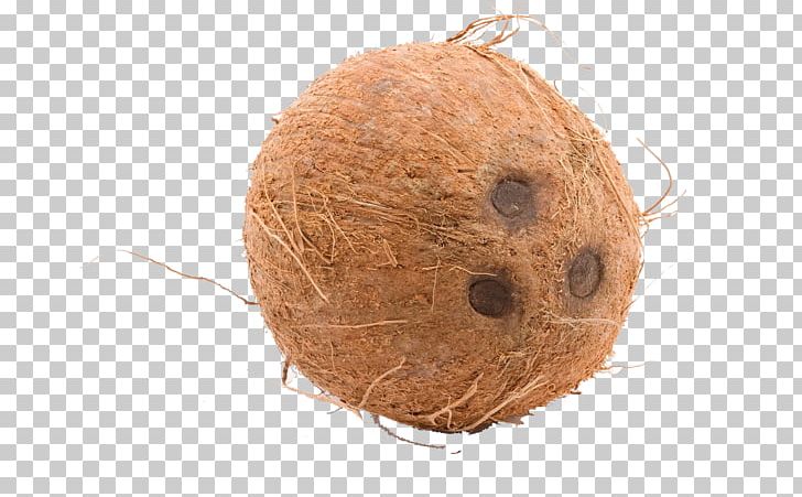 Coconut Water Desktop Arecaceae PNG, Clipart, 1080p, Arecaceae, Coconut, Coconut Water, Desktop Wallpaper Free PNG Download