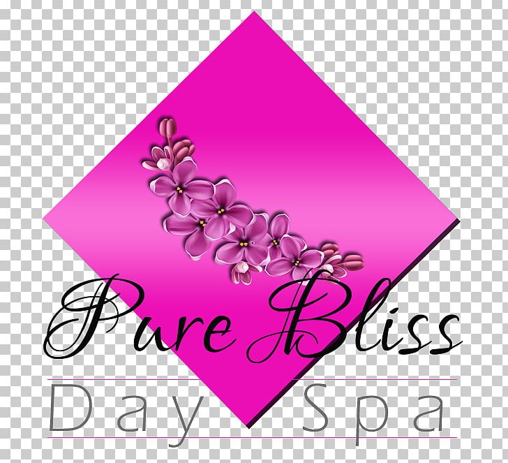 Day Spa Massage Bliss Therapy PNG, Clipart, Apartment, Area, Bliss, Day Spa, Flower Free PNG Download