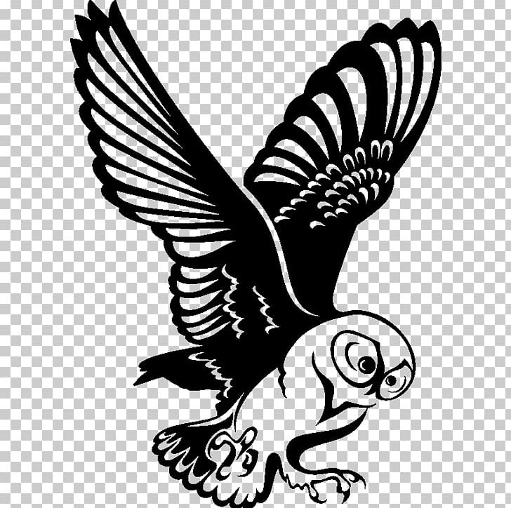 Little Owl Hawk Feather Sticker PNG, Clipart, Beak, Bird, Bird Of Prey, Black And White, Delivery Free PNG Download