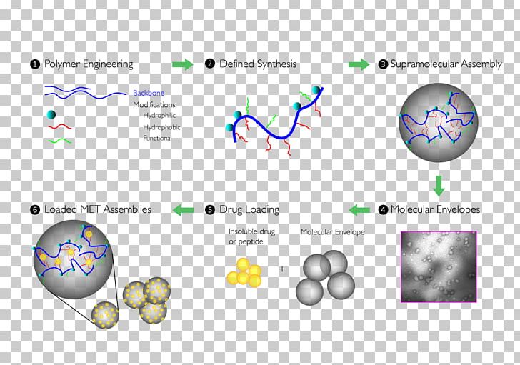 Polymer Technology Molecule Hydrophile Molecular Property PNG, Clipart, Area, Biotechnology, Brand, Circle, Diagram Free PNG Download