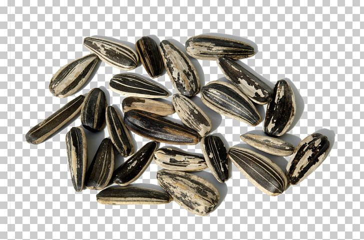 Sunflower Seed Common Sunflower Kuaci PNG, Clipart, Closeup, Common Sunflower, Fruit Nut, Hands Up, Kuaci Free PNG Download