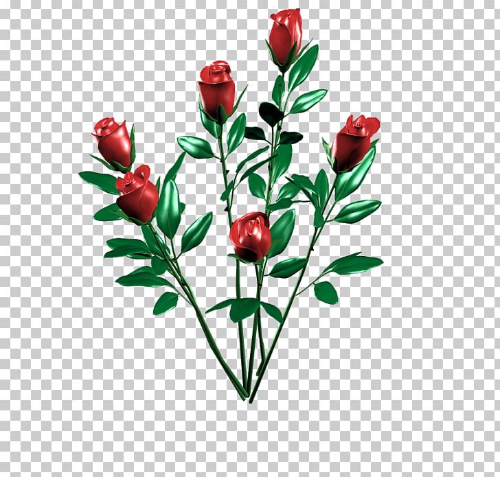 Cut Flowers Rosa × Alba Rose Family Floral Design PNG, Clipart, Art, Blumen, Branch, Bud, Cut Flowers Free PNG Download