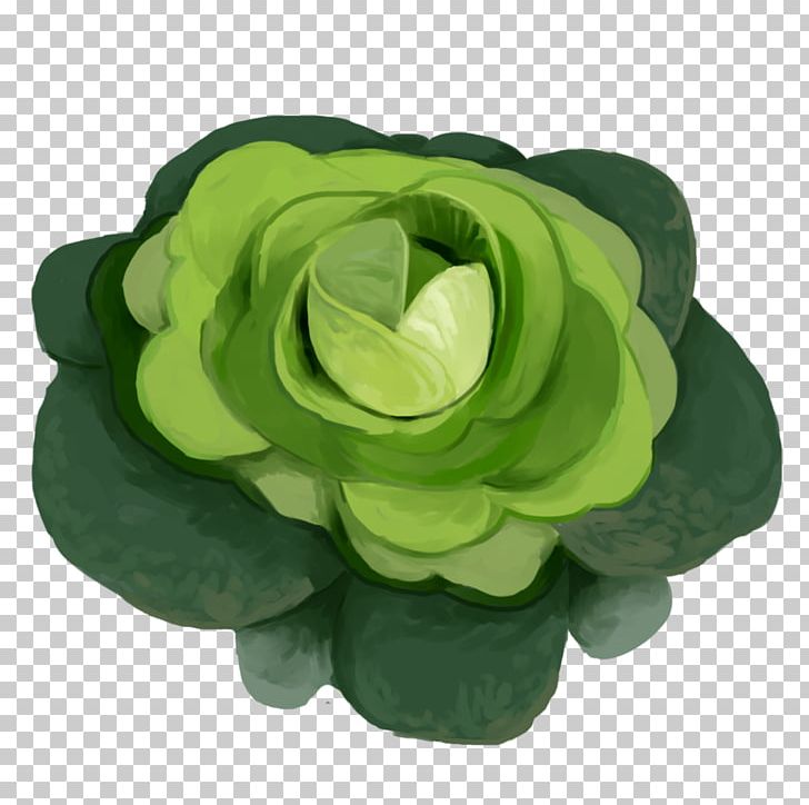 Petal Green Cut Flowers PNG, Clipart, Cabbage, Cut Flowers, Flower, Green, Others Free PNG Download