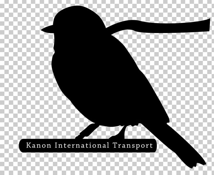 Silhouette Fauna Black PNG, Clipart, Beak, Bird, Black, Black And White, Fauna Free PNG Download