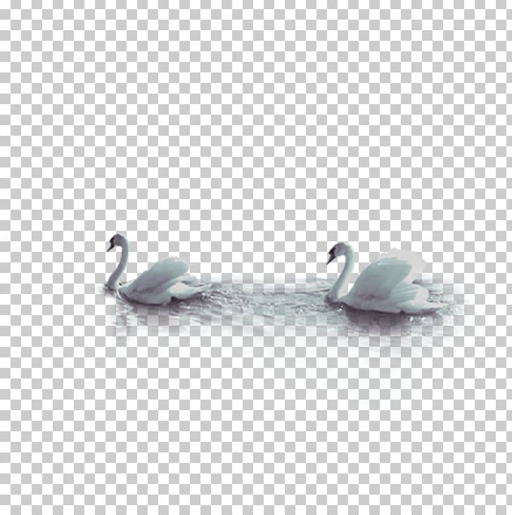 Swan Bird Goose PNG, Clipart, Animals, Blue, Body Jewelry, Book, Cartoon Goose Free PNG Download