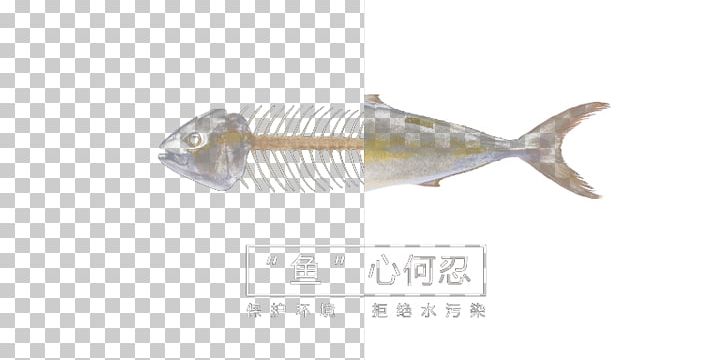 U4f55 U5fcd Fish Bone PNG, Clipart, Animals, Aquarium Fish, Bone, Bone Fish, Creative Free PNG Download