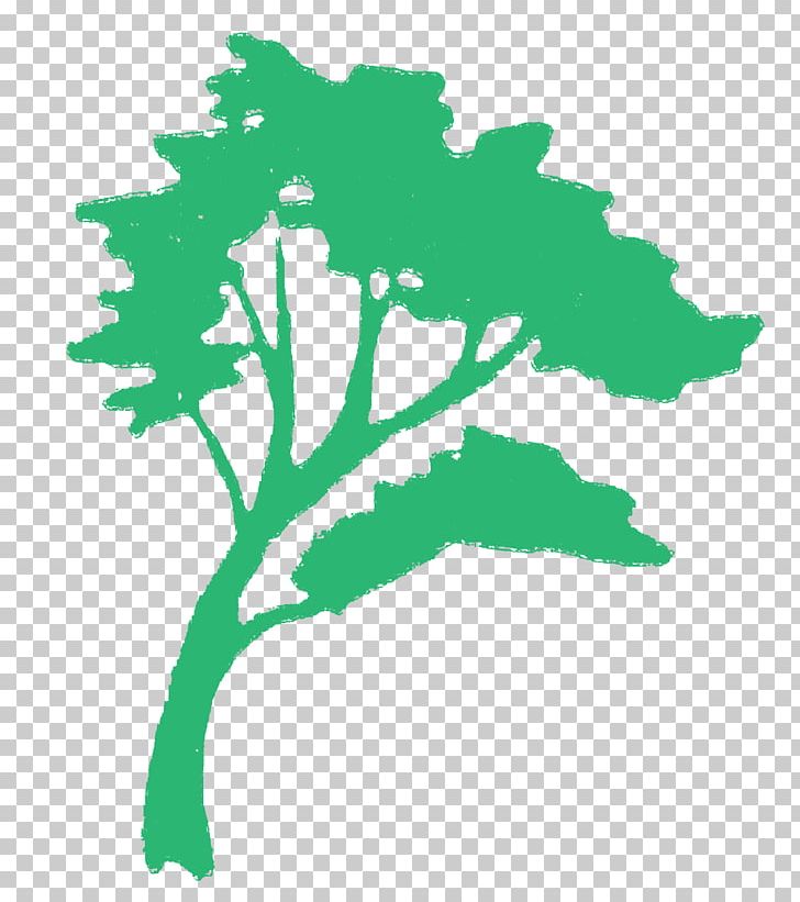 Forest View Leaf Plant Stem Uniform Resource Locator PNG, Clipart, Branch, Flora, Grass, Green, Illinois Free PNG Download