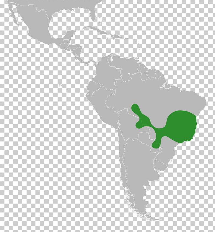 Latin America South America Caribbean Subregion United States PNG, Clipart, Americas, Biology, Caribbean, Distribution, Fabaceae Free PNG Download