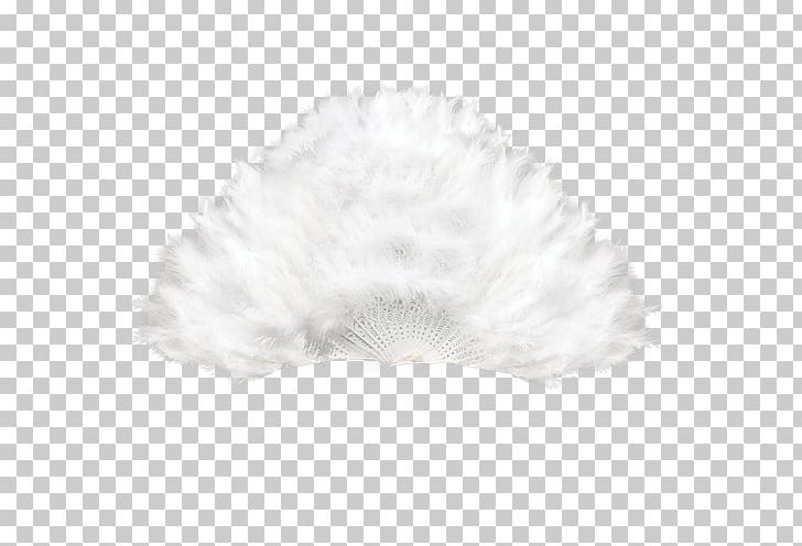 White Feather Black Pattern PNG, Clipart, Animals, Black, Black And White, Christmas Decoration, Circle Free PNG Download