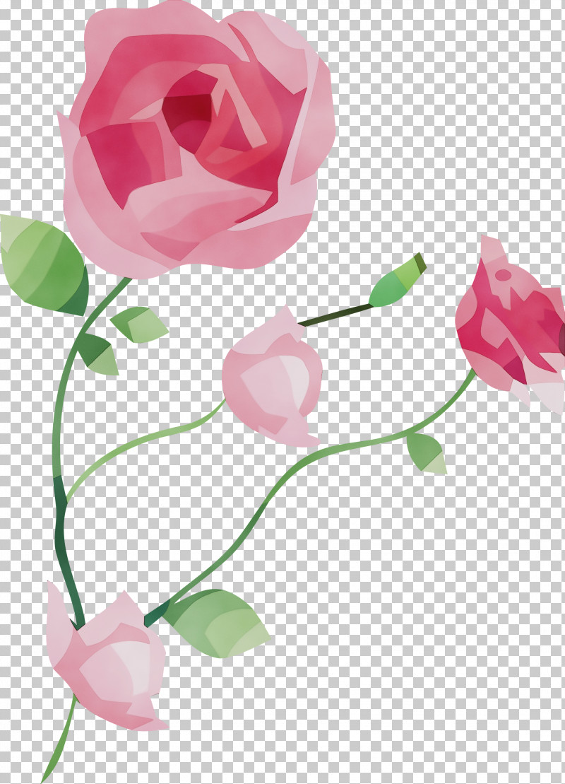 Garden Roses PNG, Clipart, Artificial Flower, Beach Rose, Cut Flowers, Floral Design, Flower Free PNG Download