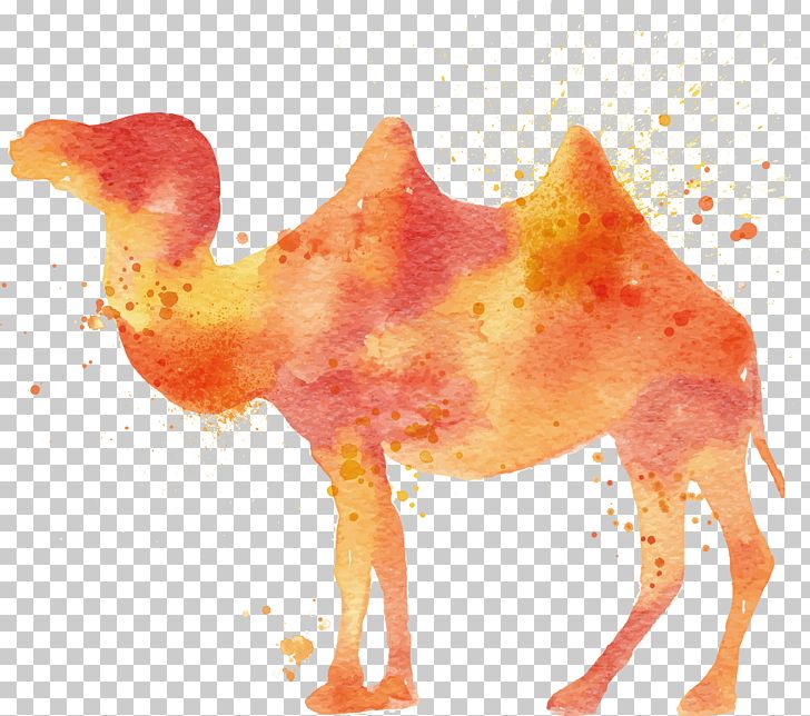Camel Watercolor Painting Illustration PNG, Clipart, Animals, Beak, Came, Camel Cartoon, Camel Vector Free PNG Download