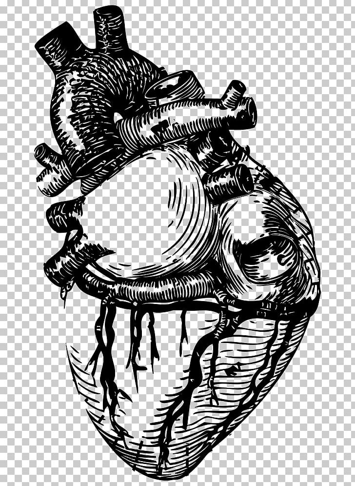 Drawing Line Art Anatomy Heart PNG, Clipart, Anatomy, Art, Black And White, Circle, Drawing Free PNG Download