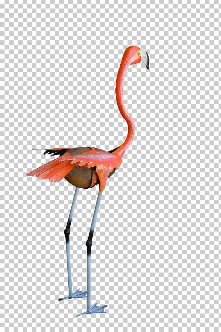 Flamingo Water Bird Crane Vertebrate PNG, Clipart, Animals, Art, Beak, Bird, Crane Free PNG Download