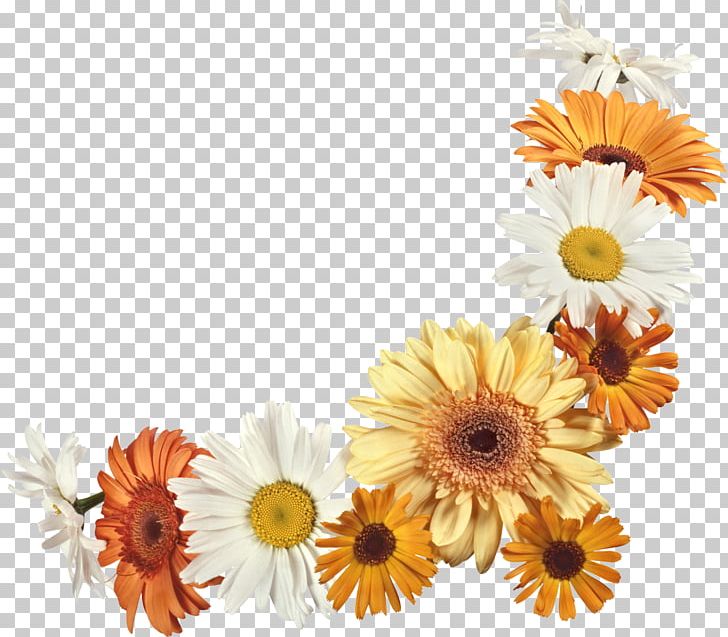 Floral Design Cut Flowers Floriculture Flower Bouquet PNG, Clipart, Arrangement, Blue Rose, Calendula, Cut Flowers, Daisy Free PNG Download