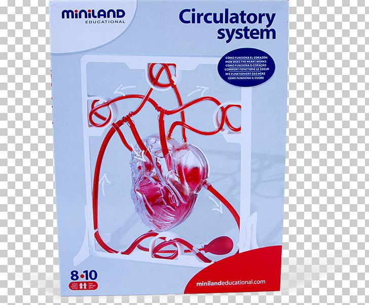 Human Heart Science Pump Font PNG, Clipart, Circulatory System, Heart, Human Heart, Miniland, Objects Free PNG Download