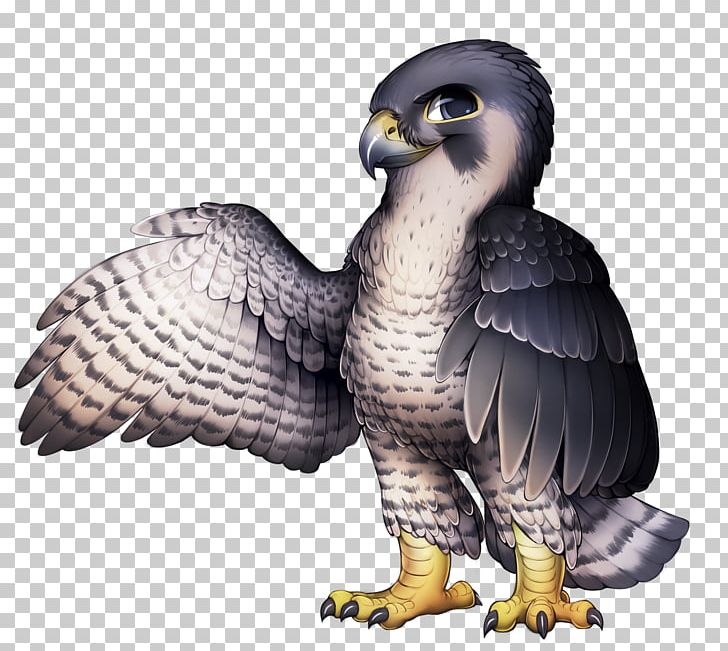 Bird Of Prey The Peregrine Falcon PNG, Clipart, Accipitriformes, Animal, Animals, Beak, Bird Free PNG Download