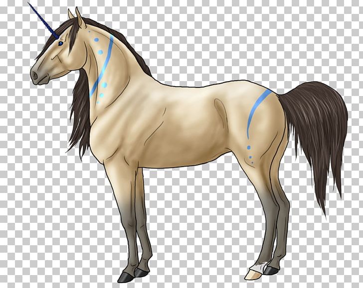 Mustang Stallion Mane Foal Colt PNG, Clipart, Bridle, Colt, Drawing, Foal, Halter Free PNG Download