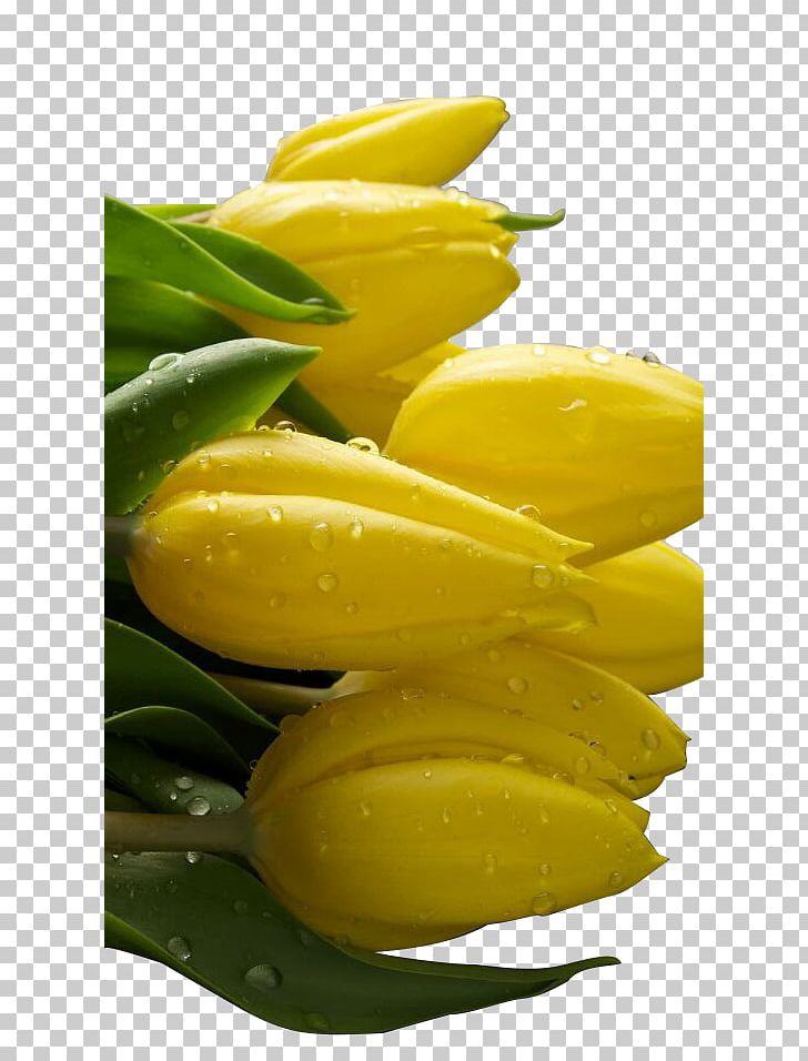 Yellow U6b7c-20u6218u6597u673a Xiaomi Icon PNG, Clipart, Banana, Banana Family, Blue, Droplets, Flower Free PNG Download