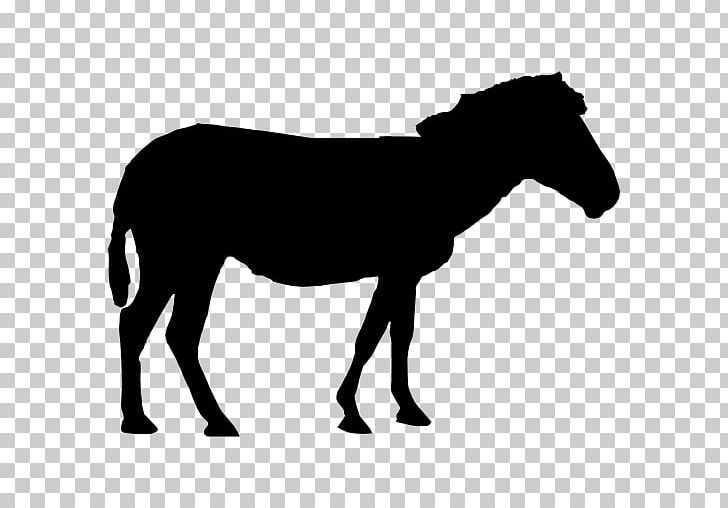 Arabian Horse Riding Pony Mustang PNG, Clipart, Animal, Arabian Horse, Bla, Bridle, Colt Free PNG Download