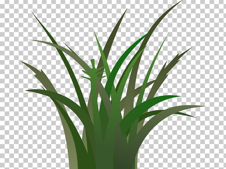 Free Content Lawn PNG, Clipart, Art, Download, Flowerpot, Free Content, Free Grass Cliparts Free PNG Download