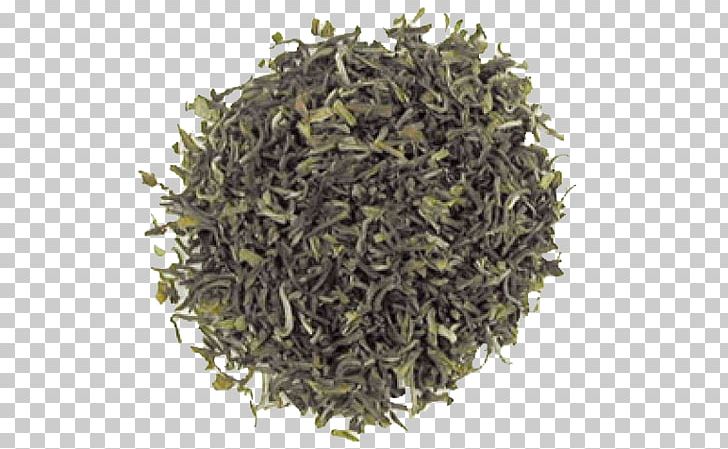 Nilgiri Tea Biluochun Earl Grey Tea Oolong PNG, Clipart, Assam Tea, Biluochun, Earl Grey Tea, Nilgiri Tea, Oolong Free PNG Download