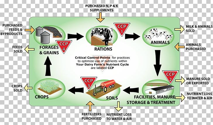 Nutrient Cycle Farm Agriculture Phosphorus Cycle PNG, Clipart, Agriculture, Brand, Compost, Decomposer, Farm Free PNG Download