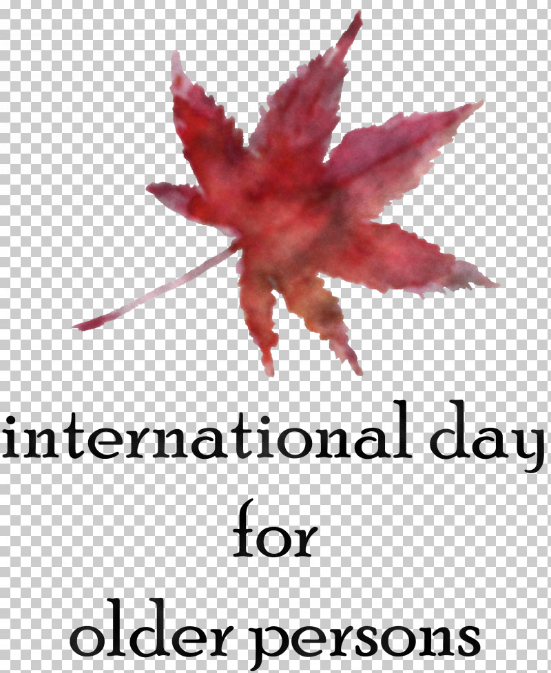 International Day For Older Persons PNG, Clipart, Flower, Geometry, International Day For Older Persons, Leaf, Line Free PNG Download