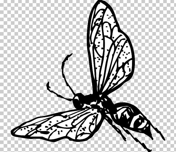 Insect Bee Wasp PNG, Clipart, Arthropod, Artwork, Bee Outline, Brush Footed Butterfly, Flower Free PNG Download