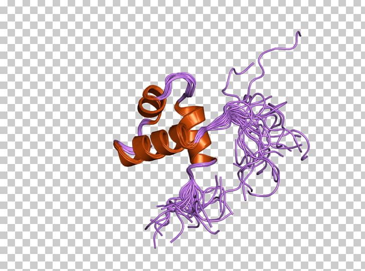 MYBL2 Organism Gene Font PNG, Clipart, 2 D, 9 A, D 9, Domain, Ebi Free PNG Download