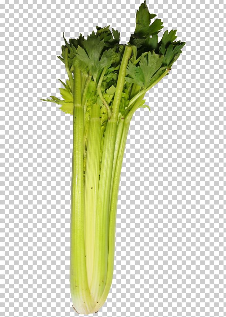 Celery Spring Greens Food Komatsuna Vegetable PNG, Clipart, Celery, Choy Sum, Democratic Party, Fennel, Food Free PNG Download