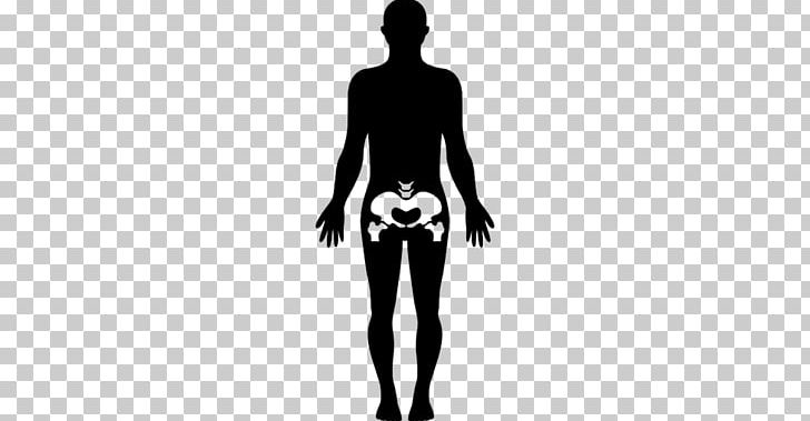 Female Body Shape Human Body Woman Homo Sapiens PNG, Clipart, Abdomen, Anatomy, Arm, Black, Black And White Free PNG Download