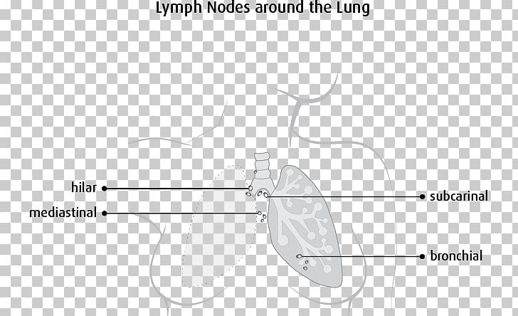 Lymph Node The Lymphatic System Mediastinum Lung PNG, Clipart, Anatomy, Angle, Area, Arm, Circle Free PNG Download