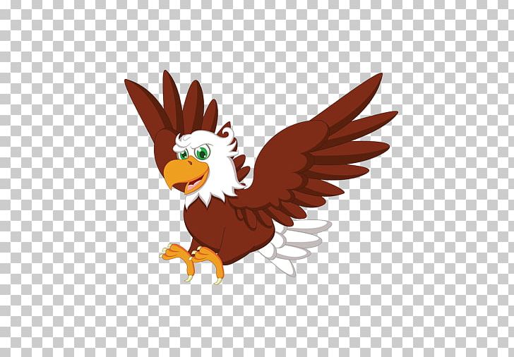 Bald Eagle Owl Graphics Hawk PNG, Clipart, Art, Bald Eagle, Beak, Bird, Bird Of Prey Free PNG Download
