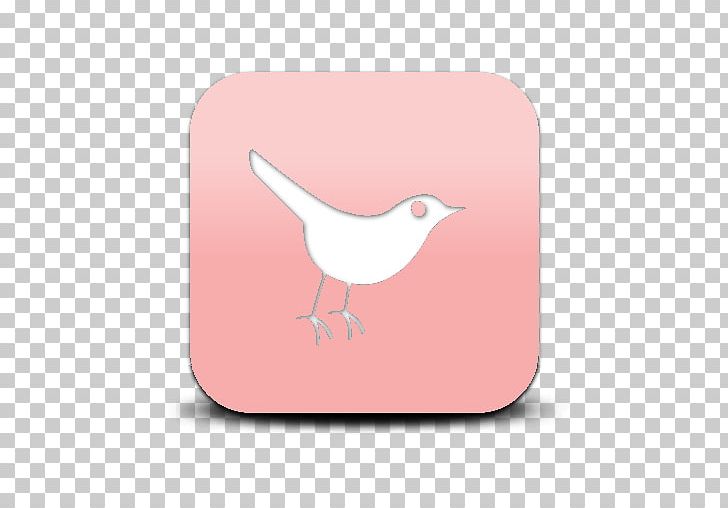 Bird Computer Icons Beak PNG, Clipart, Animals, Beak, Bella Thorne, Bird, Computer Icons Free PNG Download