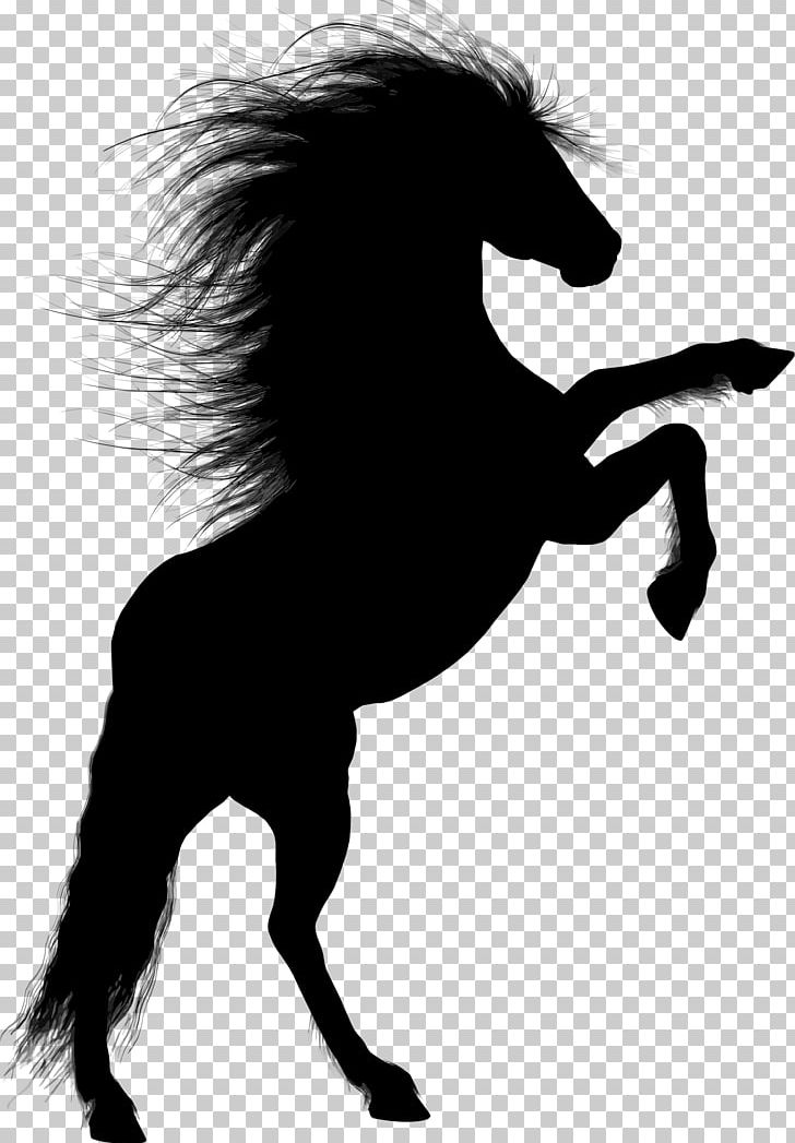 Horse Stallion Rearing Silhouette PNG, Clipart, Animals, Black And White, Colt, Equestrian, Fictional Character Free PNG Download