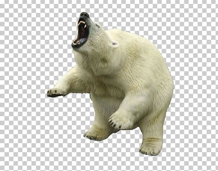 Polar Bear PNG, Clipart, American Black Bear, Animals, Bear, Brown Bear, Carnivoran Free PNG Download