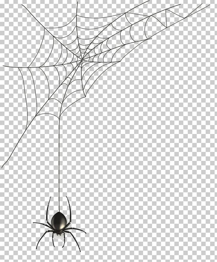 Spider Web PNG, Clipart, Arthropod, Artwork, Black And White, Black House Spider, Branch Free PNG Download