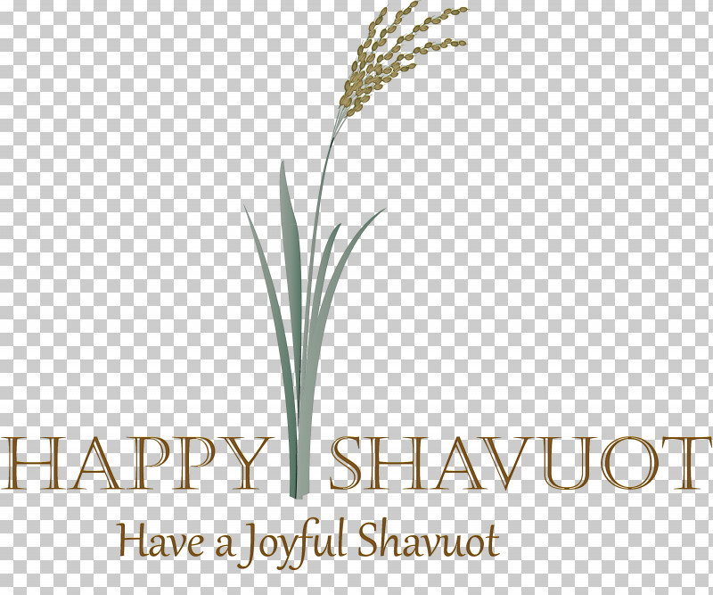Happy Shavuot Shavuot Shovuos PNG, Clipart, Crop, Elymus Repens, Flower, Grass, Grass Family Free PNG Download