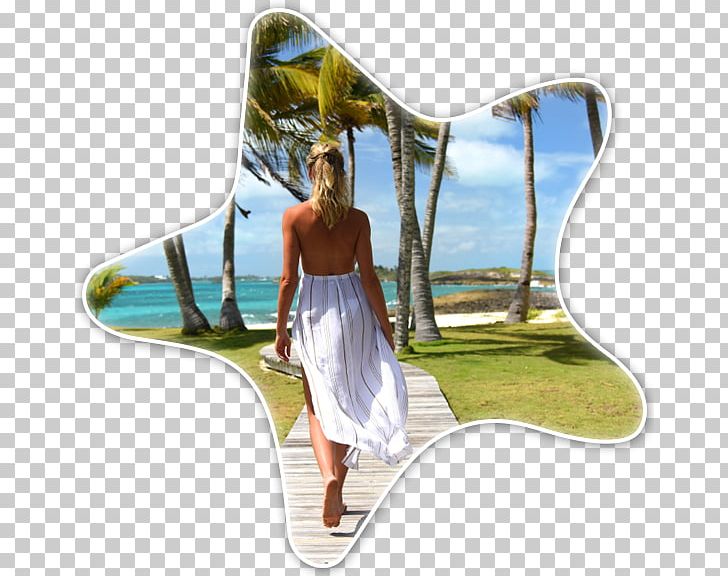 Gems At Paradise Private Beach Resort Hotel Cheap Accommodation PNG, Clipart, Accommodation, Bahamas, Beach, Boutique, Boutique Hotel Free PNG Download