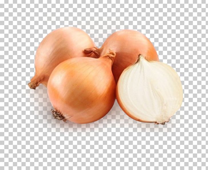 Onion Vegetable Food Photography Legume PNG, Clipart, Cultivar, Food, Food Photography, Garlic, Ingredient Free PNG Download