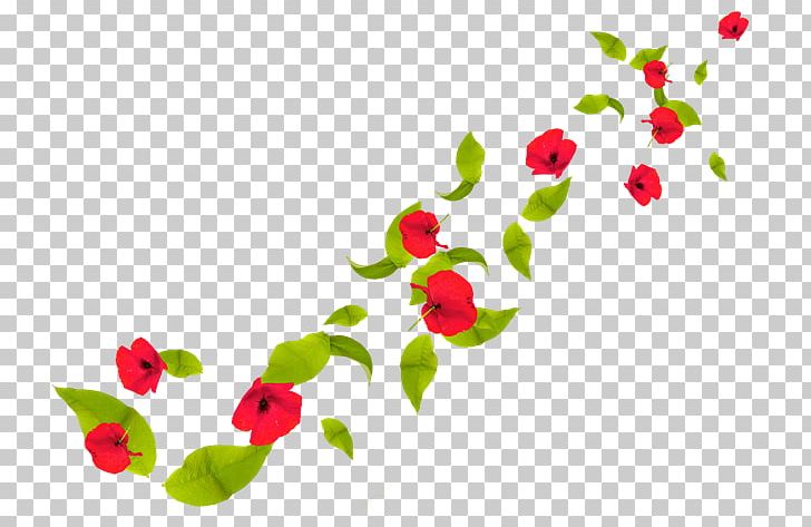Petal Flower Poppy PNG, Clipart, Cut Flowers, Drawing, Floral Design, Flowering Plant, Garden Roses Free PNG Download